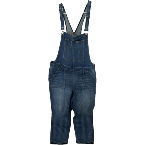 Madewell Skinny Overalls Jeans Denim One Piece Stretch Zip Jansing Wash Blue 2X - Picture 2 of 7